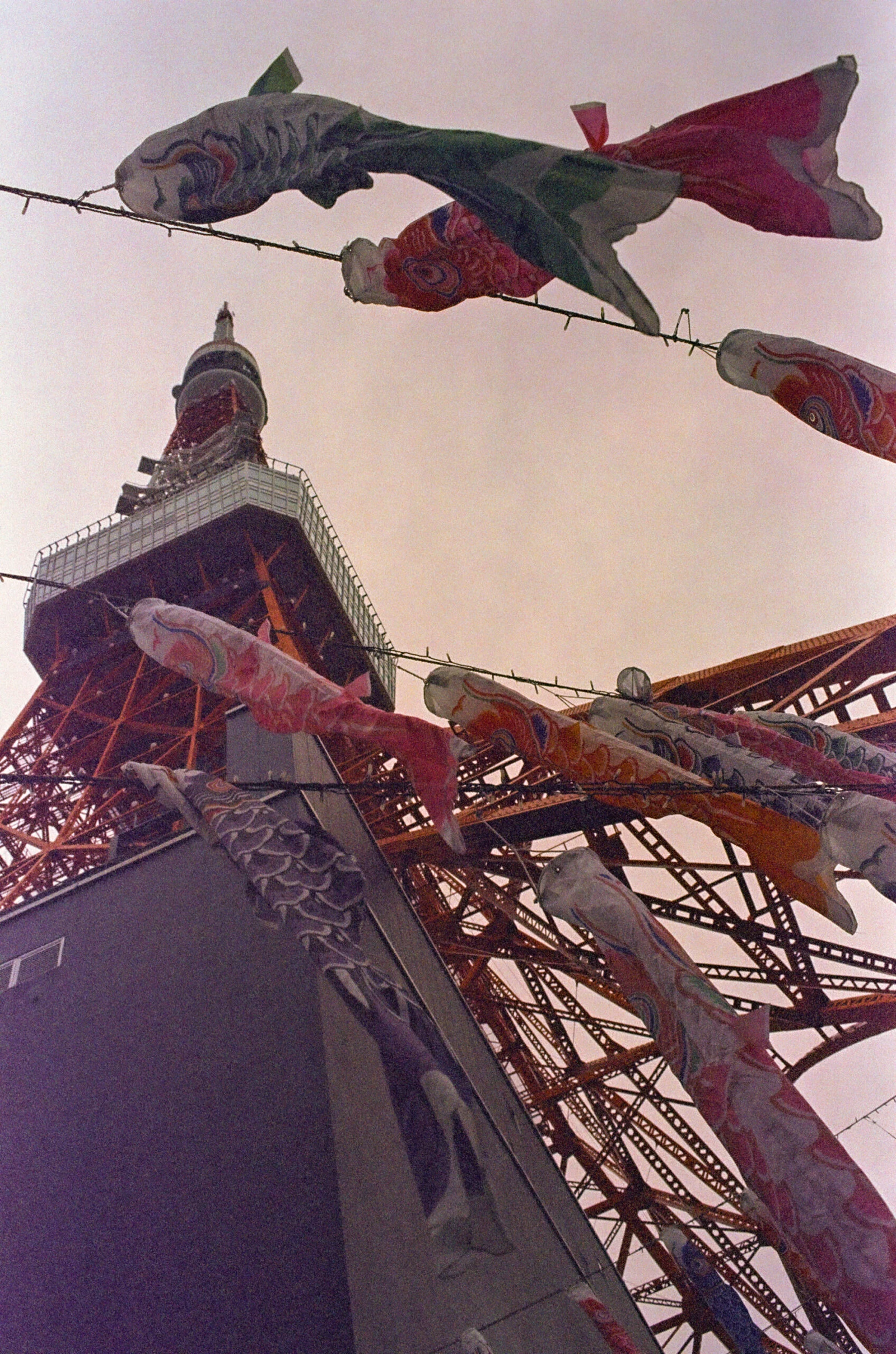 IMG159487