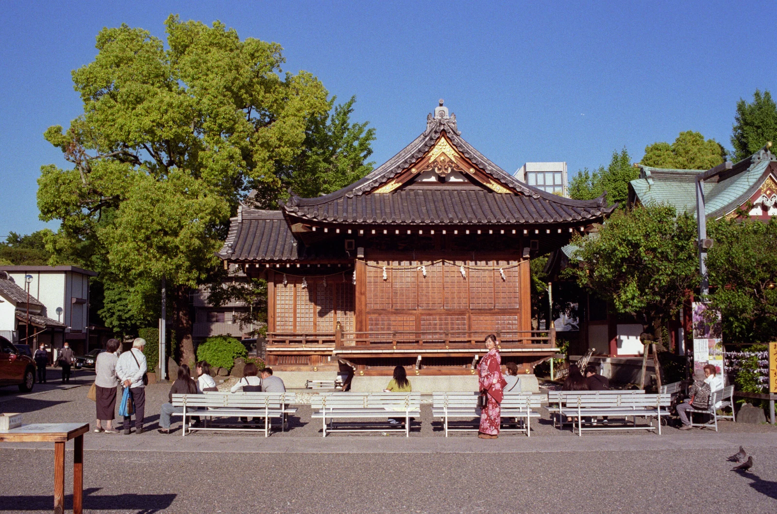 IMG159375